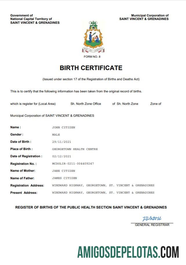 Imprimível modelo Word e PDF de certidão de nascimento de registro vital de São Vicente e Granadinas